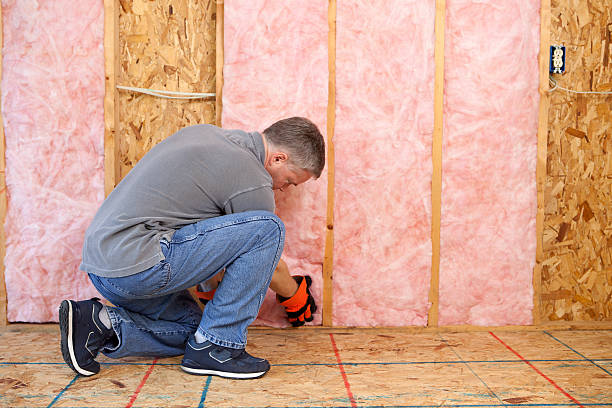 Best Insulation for Commercial Buildings  in Seminole, FL